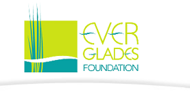 everglades foundation logo